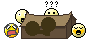 :camp: